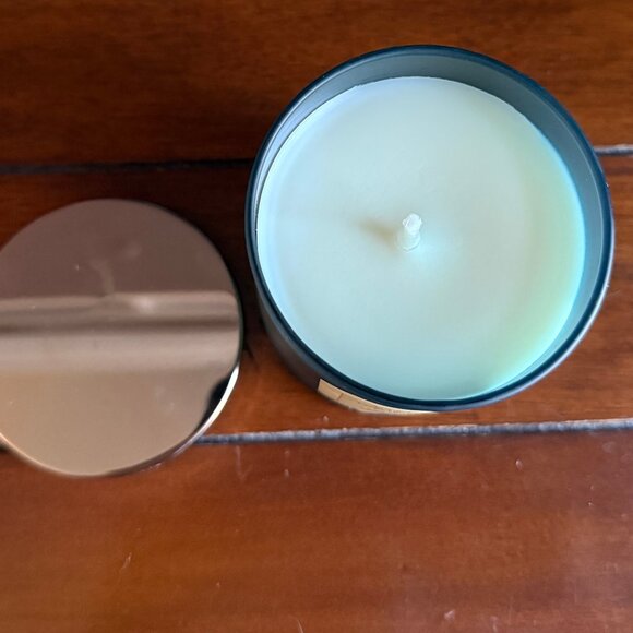 NEW BACKYARD HONEYSUCKLE Single Wick Candle 8oz Bath & Body Works - Picture 2 of 3